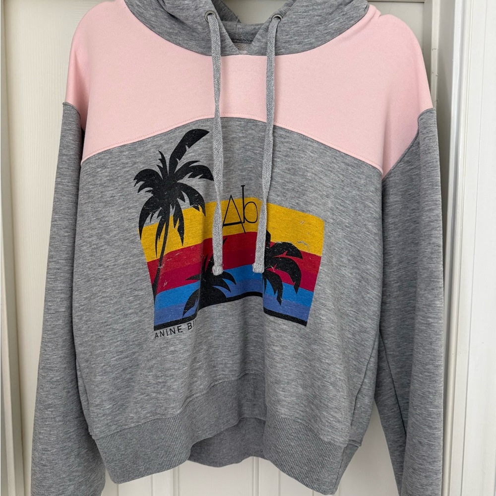 Anine Bing Gray and Light Pink Colorblock Hoodie